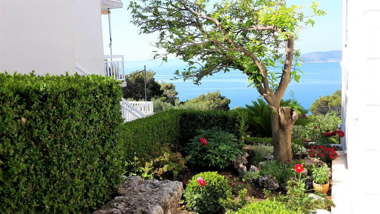 Guest House Fenix Brela Exterior photo